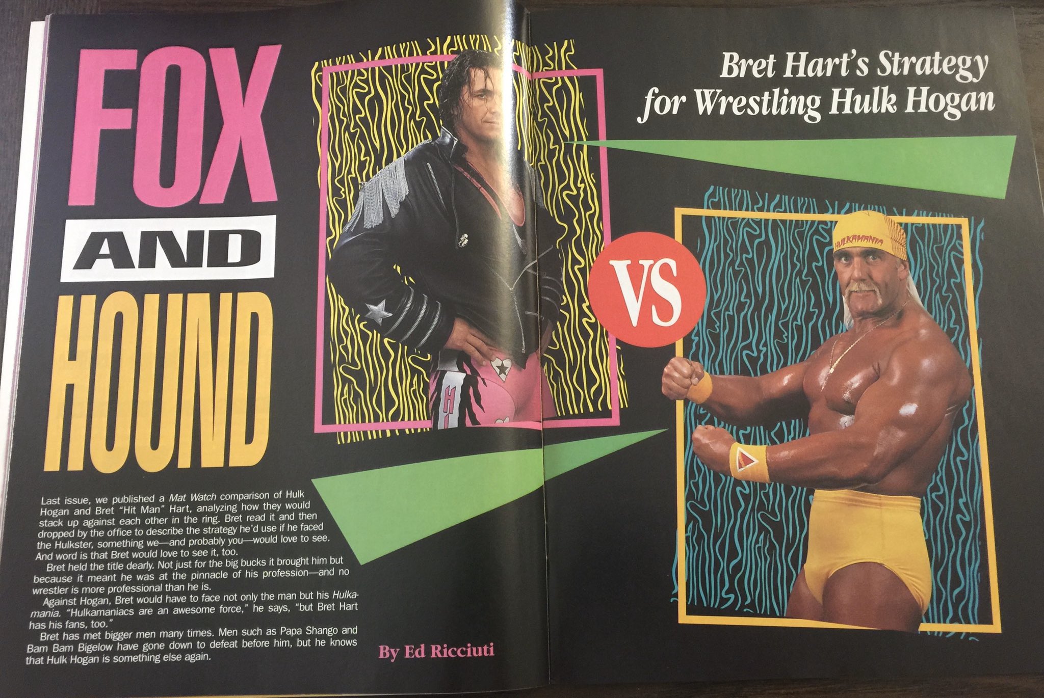 Bret Hart and Hulk Hogans Tug of War: A Clash of Wrestling Titans