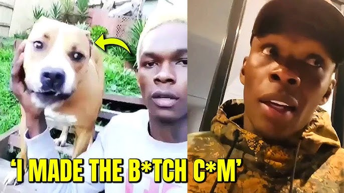 Israel Adesanya Faces Backlash Over Inappropriate Dog Video Retweet