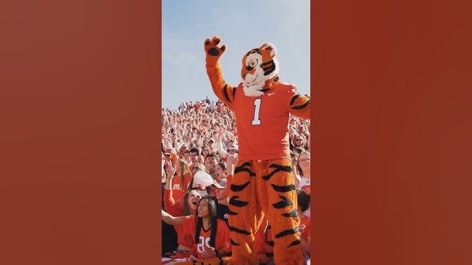 Clemson University Mascot: Unveiling the Tigers Tale