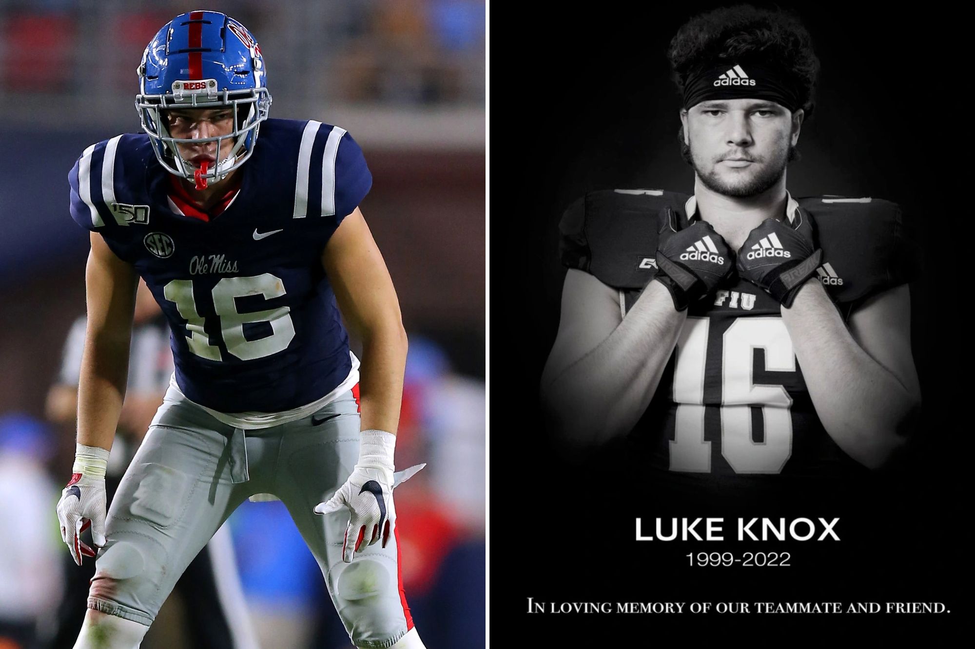 Why is Everyone Talking About luke knox? Find Out Here!