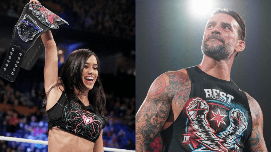 Will AJ Lee WWE Return Happen After CM Punks Comeback?