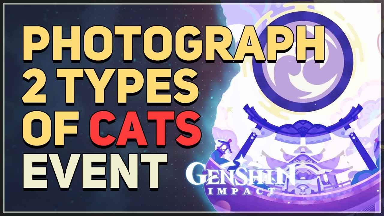 How to Photograph 2 Types of Cats Genshin: Simple Steps