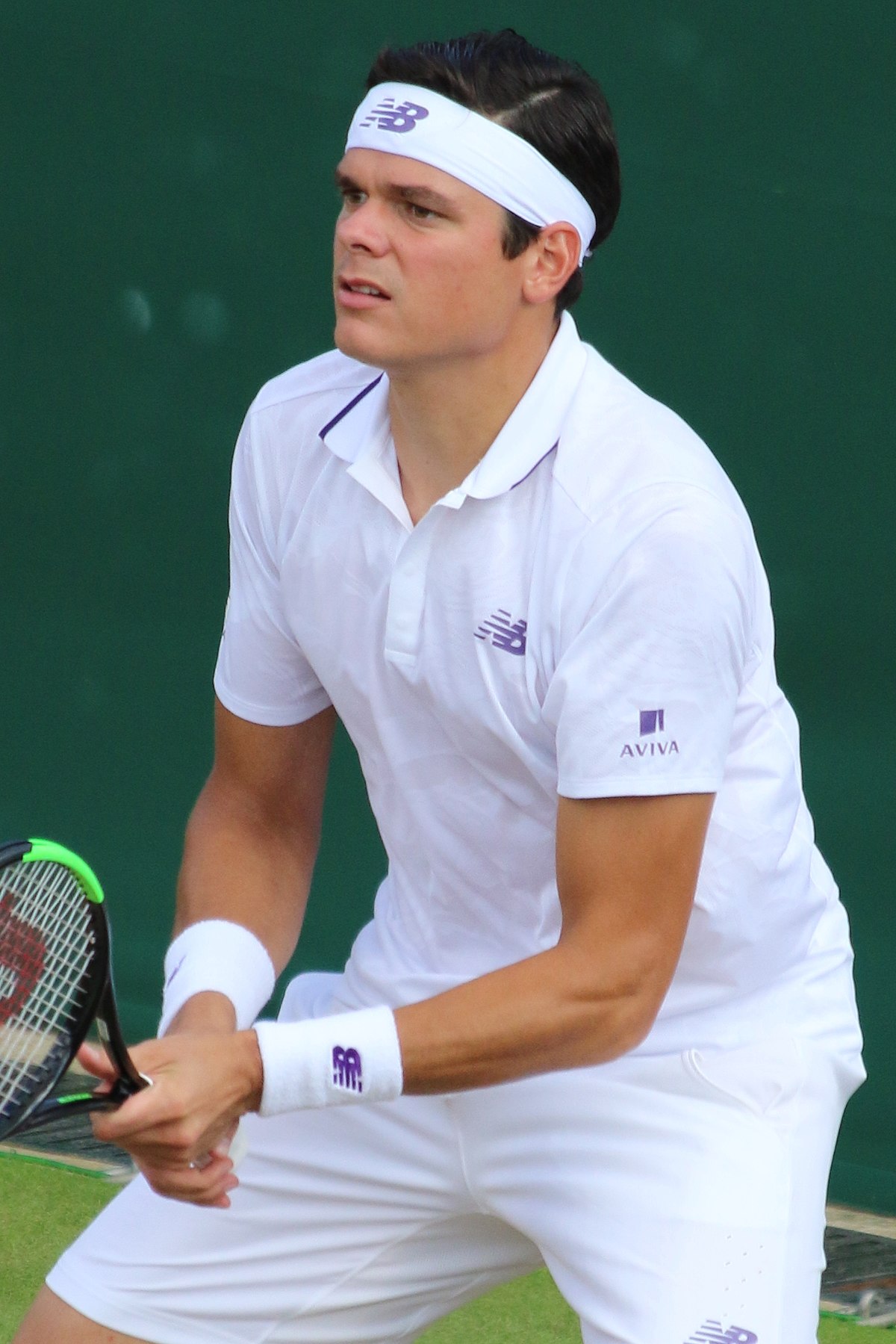 M. Raonic: Is He Still a Top Player? (Quick Look at His Current Ranking and Performance)