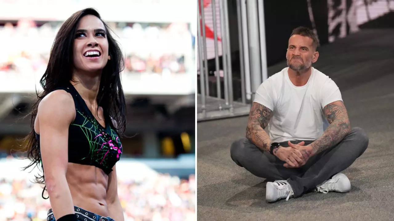 Will AJ Lee WWE Return Happen After CM Punks Comeback?