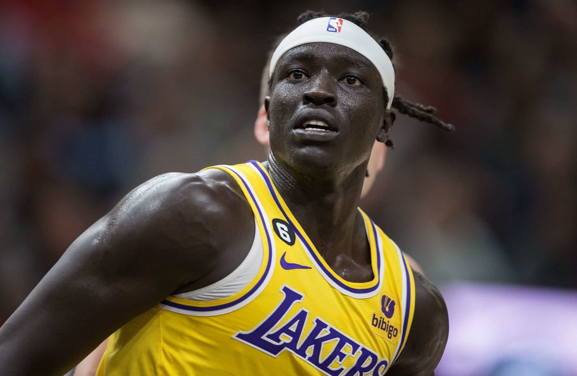 Unveiling Wenyen Gabriel Net Worth: His Assets and More