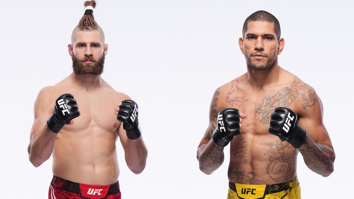 UFC 295 Pereira vs Prochazka 2: Fight Time, How to Watch!