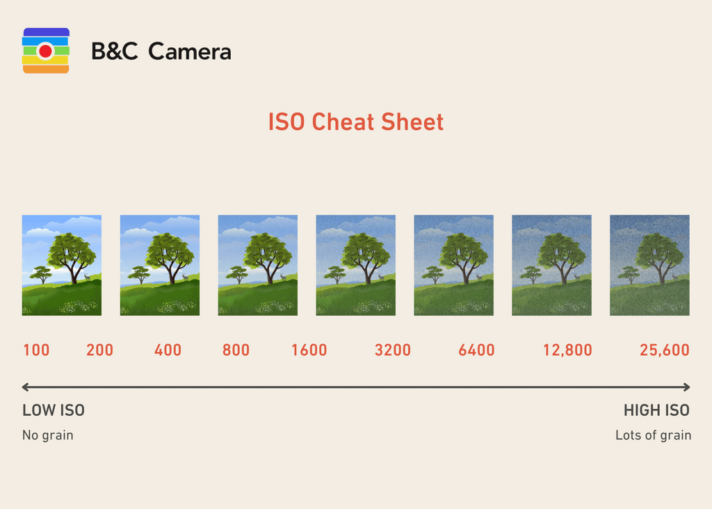 ISO 300: When Should You Use It? Get Better Photos in Different Lighting Situations!