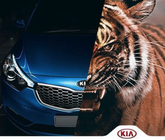 Kia Tiger: Is this the best car for you? Lets find out.