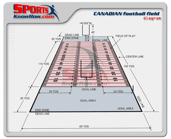 cfl football field measurements explained: A simple guide for beginners