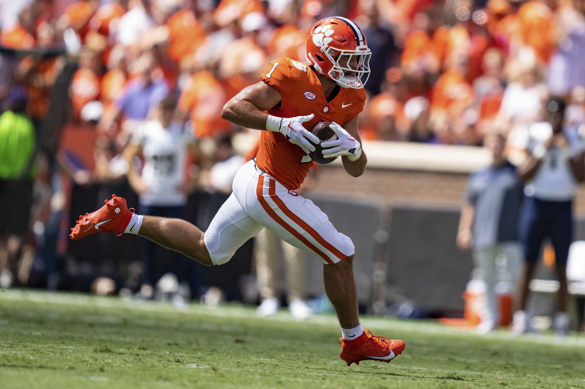 Will Shipley, Jordan Shipley: Discover if They Are Actually Related.