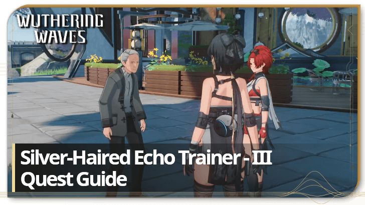 Level Up Fast in Silver Haired Echo Trainer 3!