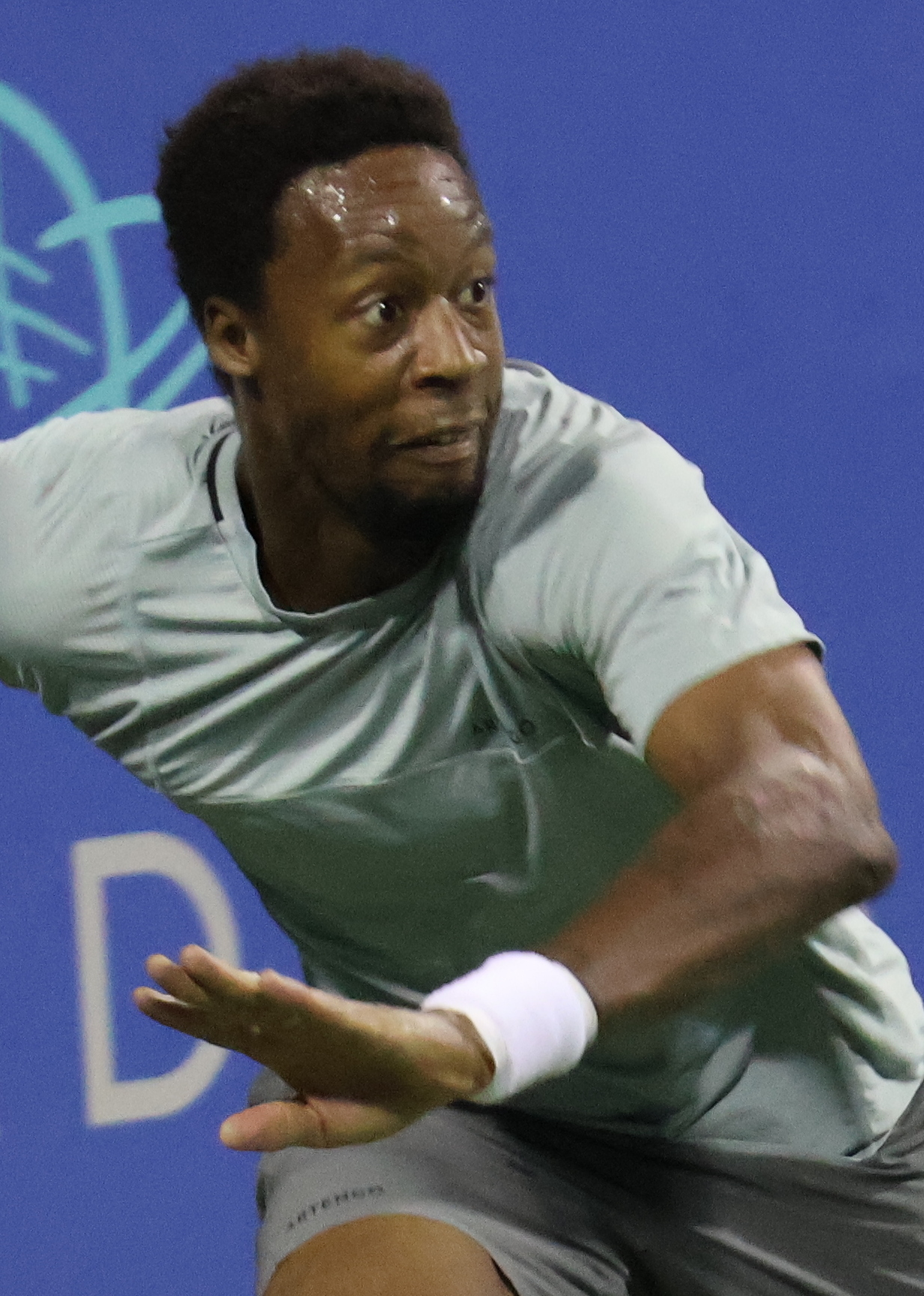 How High Has Gael Monfils Ranking Reached? Peak Performance.