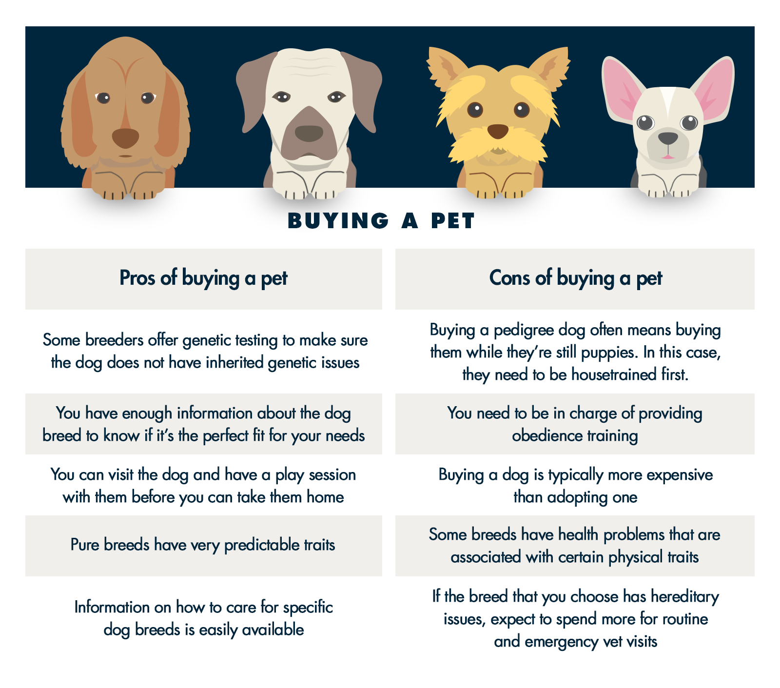 Dog bj: What you need to know (Simple guide for pet owners)