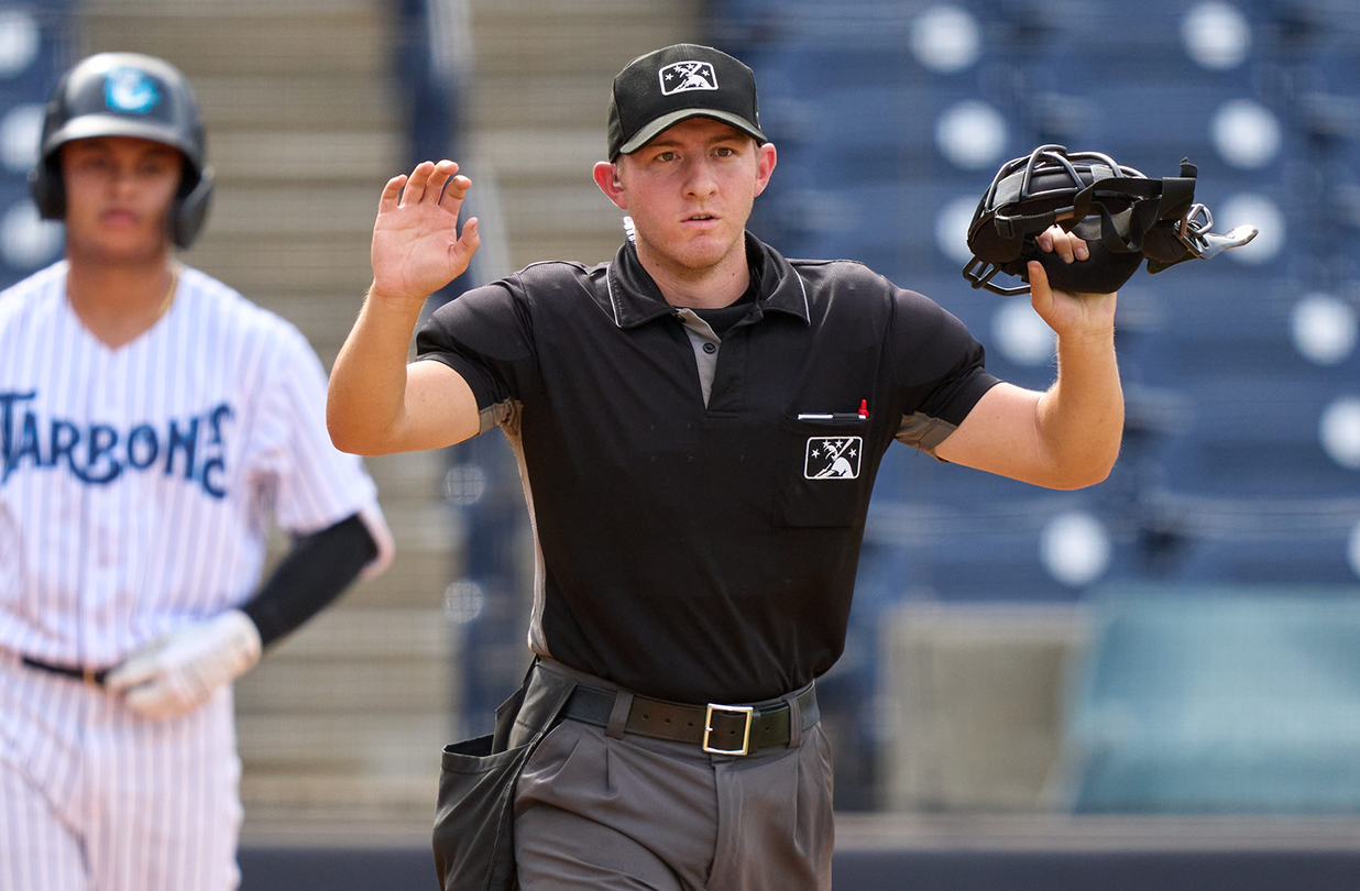 Umpire salary guide: How much does a umpire make in different leagues?