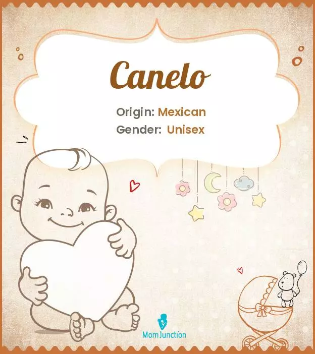 Canelo Mean in Different Contexts? Find Out Here Easily!