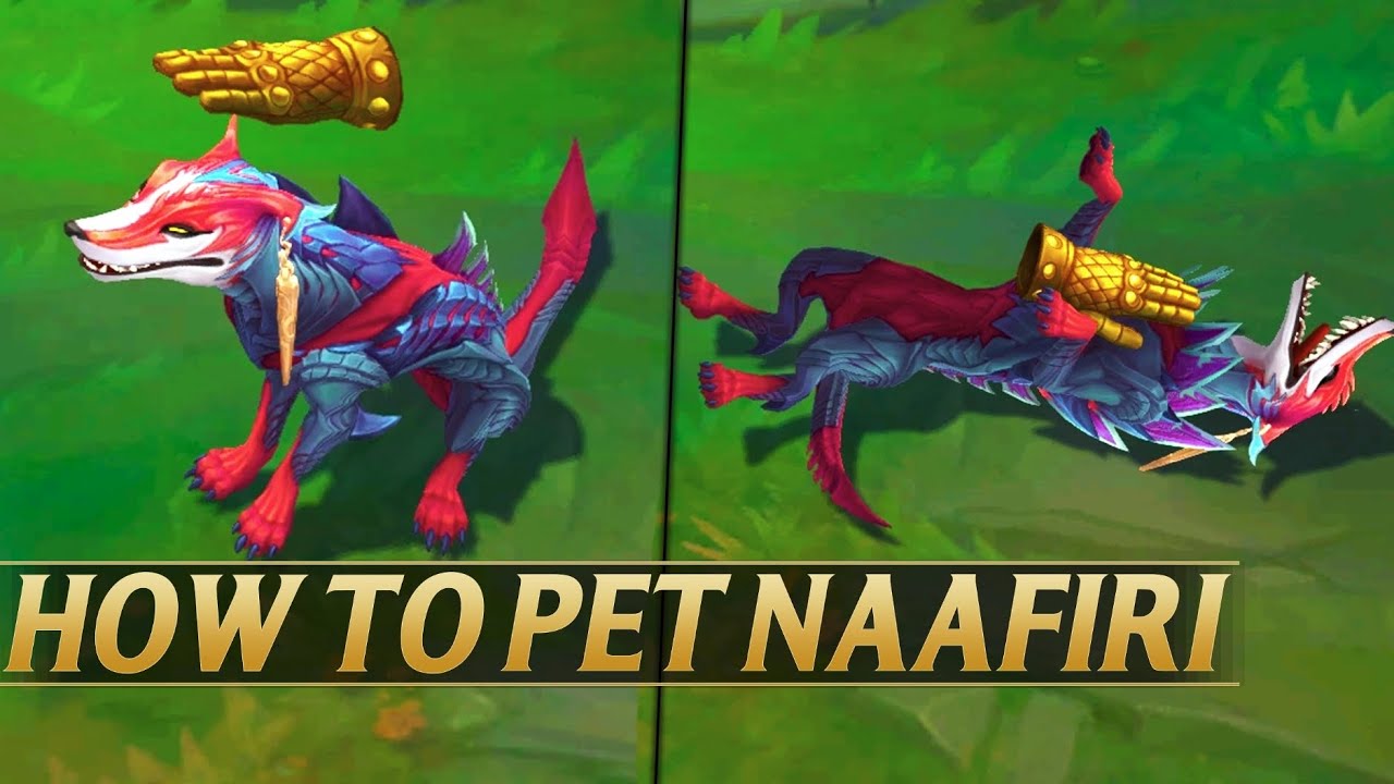 How to Pet Naafiri?:The Quick guide for LOL players