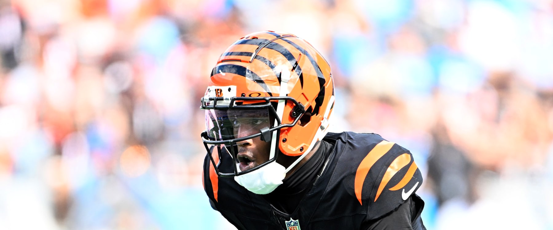 Choosing Between Tee Higgins or Jakobi Meyers? Here Is What You Need to Consider Before Drafting.